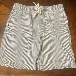 Banana Republic Navy and White Deck Shorts, Small